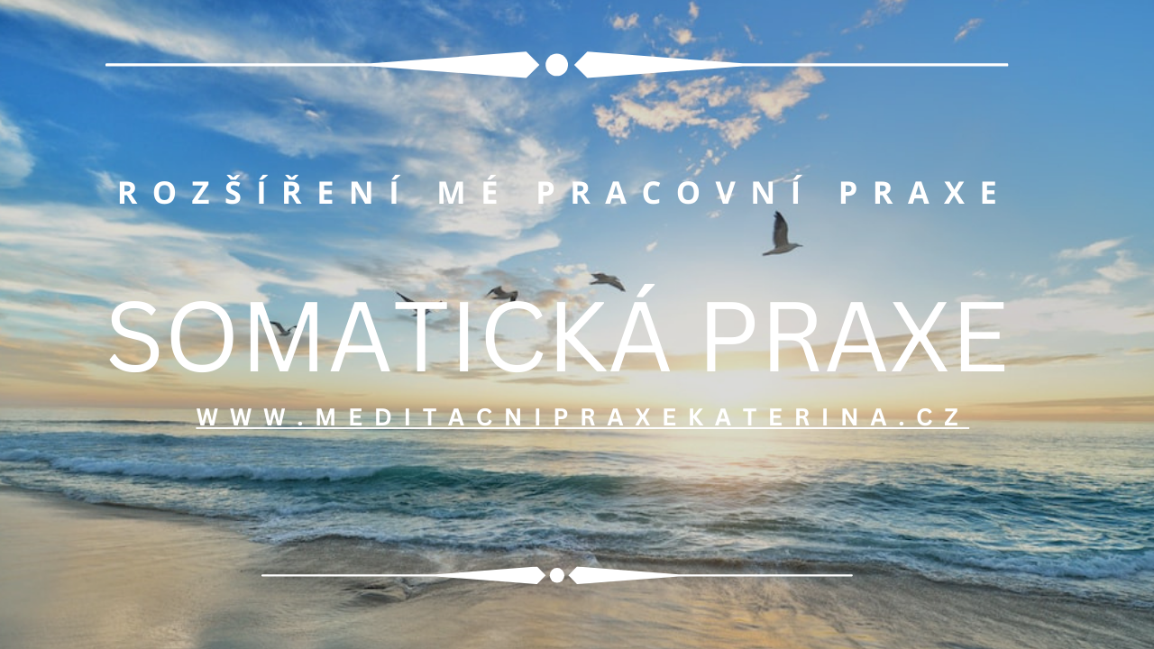 MEDITAČNÍ SOMATICKÁ PRAXE
